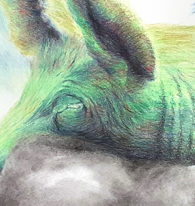 âmes animées